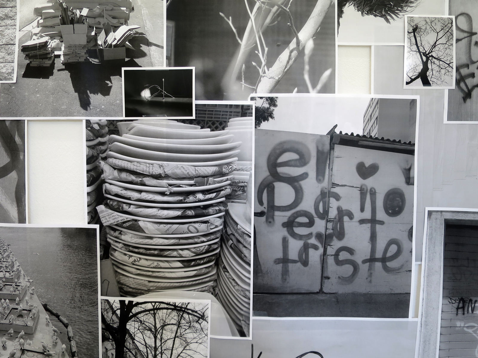 Camouflage City - Untold Stories 2017