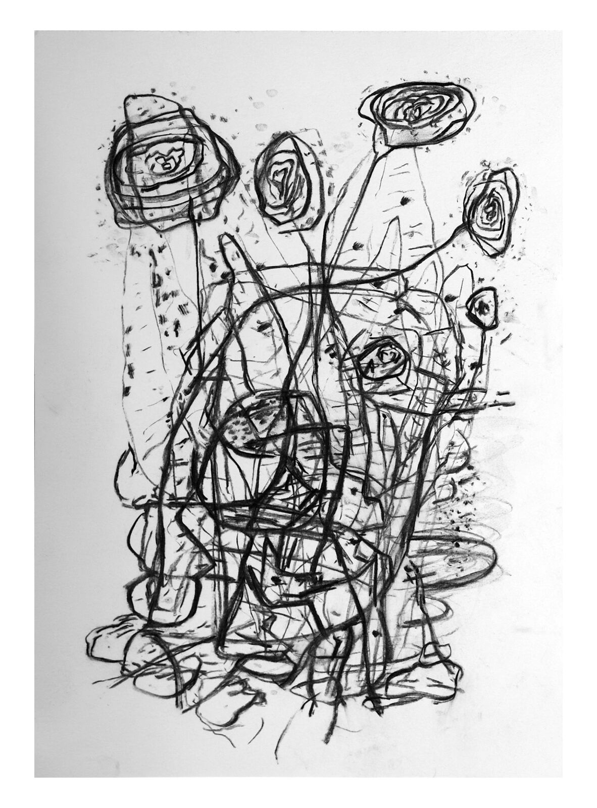 Untitled  2024