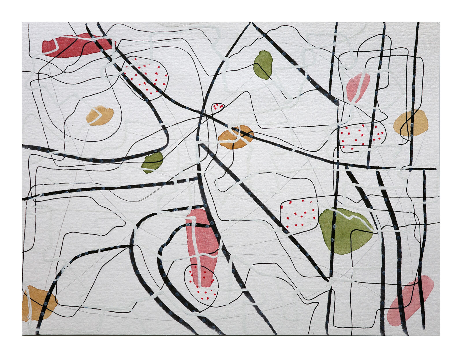 The singing of the morning birds  2025